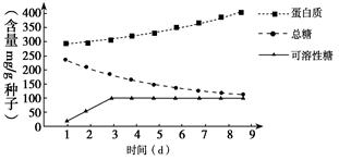 智能溫室的現代化無土栽培技術 高效生產之道