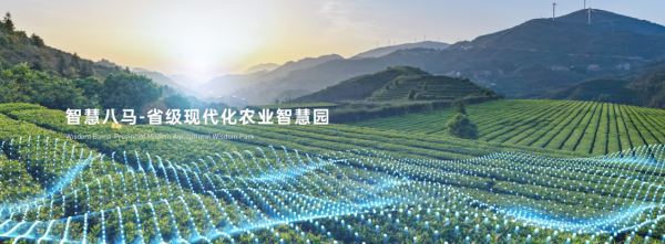 助力茶農(nóng)增收致富 八馬茶業(yè)為鄉(xiāng)村振興貢獻(xiàn)力量——智能農(nóng)業(yè)管理驅(qū)動(dòng)茶產(chǎn)業(yè)升級(jí)
