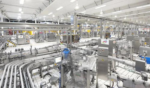 數(shù)字化轉(zhuǎn)型不會(huì)讓弱者變強(qiáng)——以人工智能基礎(chǔ)軟件開發(fā)為視角的觀察